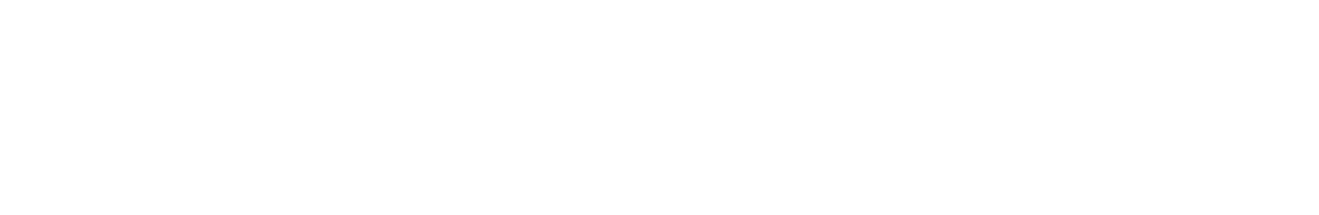 Self Storage Manager